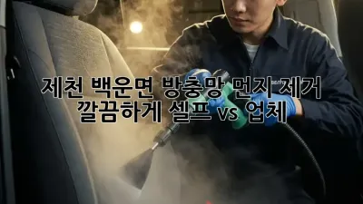 제천 백운면 방충망 먼지 제거 ✨ 깔끔하게! 셀프 vs 업체? 🤔