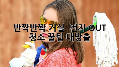 🏡 반짝반짝 거실 ✨ 먼지 OUT! 청소 꿀팁 대방출 🍯